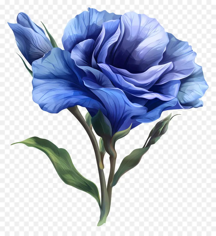 Lisianthus Bleu，Fleur Violette PNG