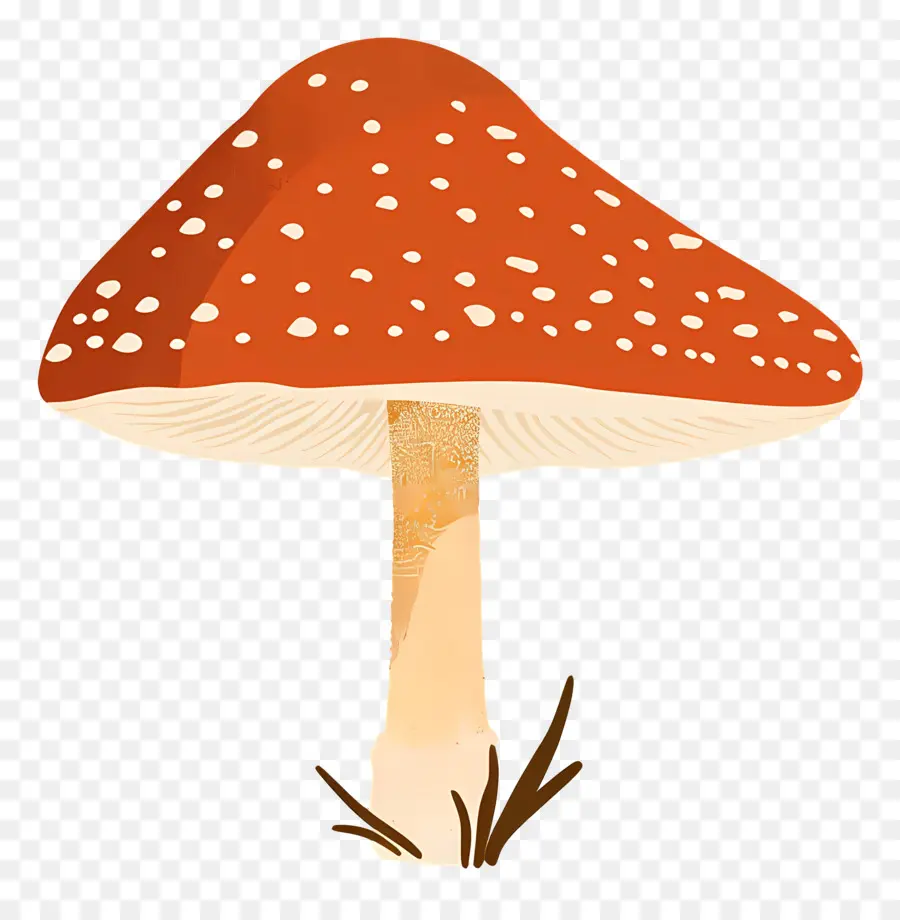 Champignon，Champignons PNG