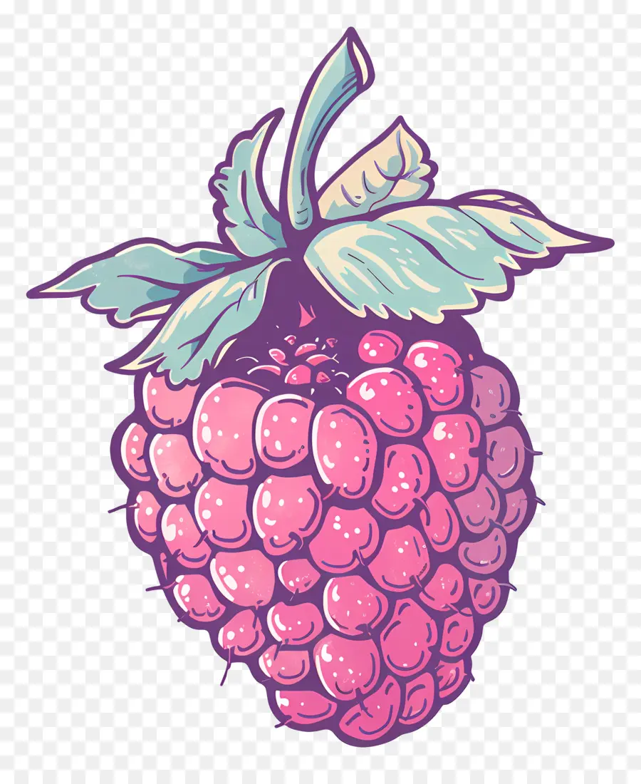 Framboises，Framboise PNG