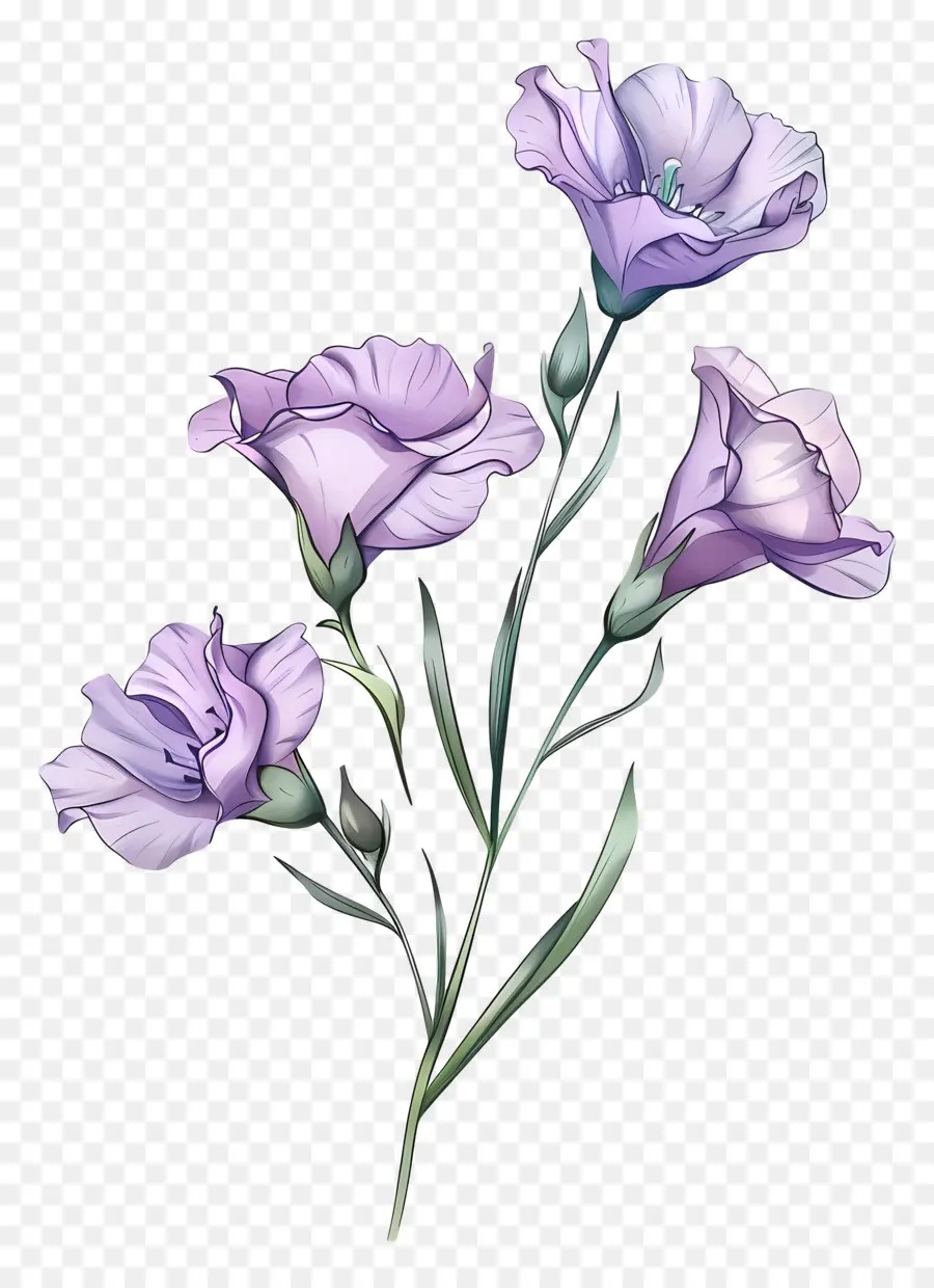 Fleurs Lilas，Fleurs Violettes PNG