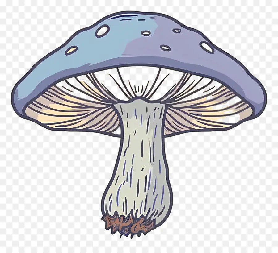 Champignon，Rouge PNG