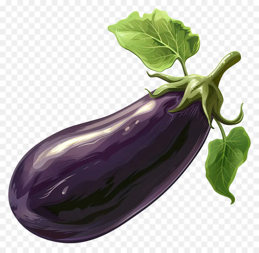 Aubergine，Aubergines PNG