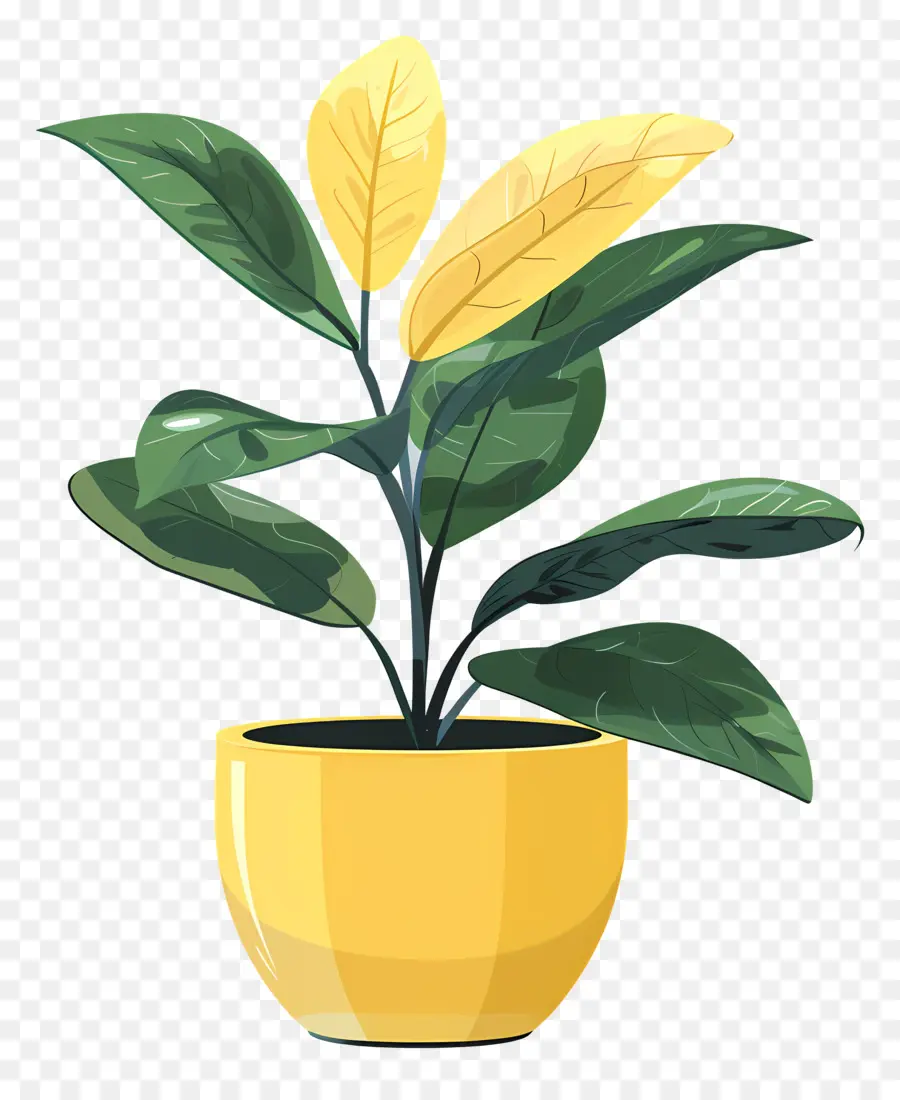 Pot Jaune，Plante En Pot PNG