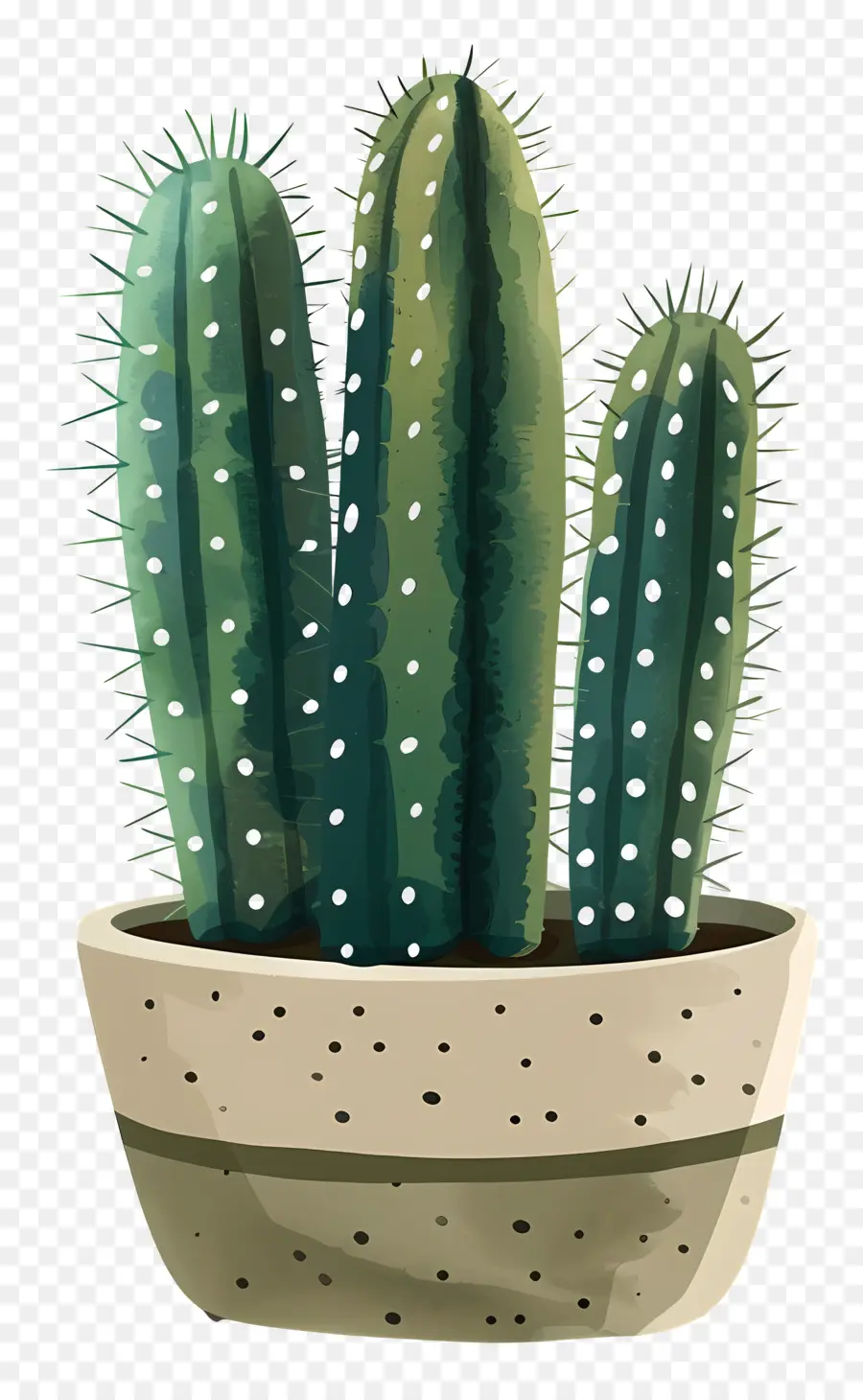 Cactus Vert，Cactus PNG