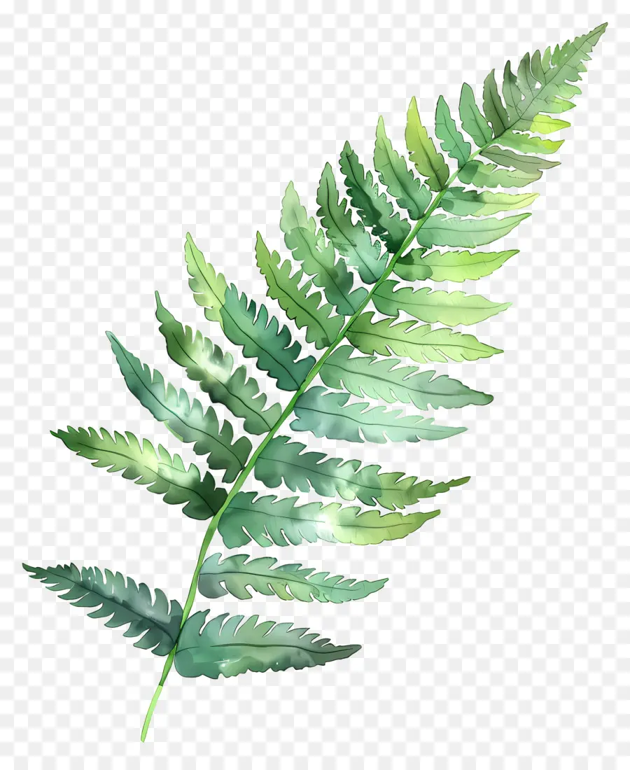 Feuille Aquarelle，Feuille Verte PNG