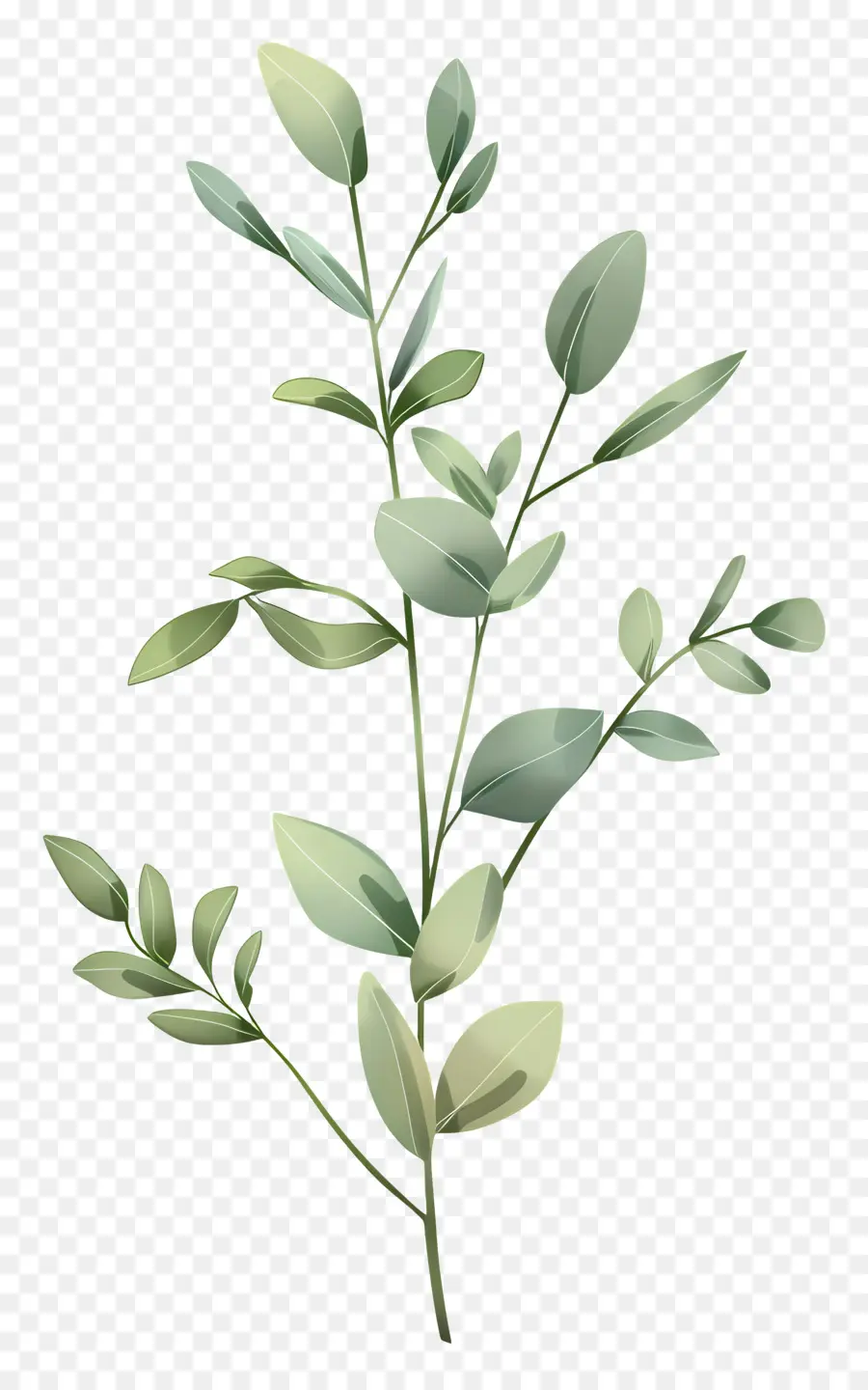 Tige De Plante，Feuilles Colorées PNG