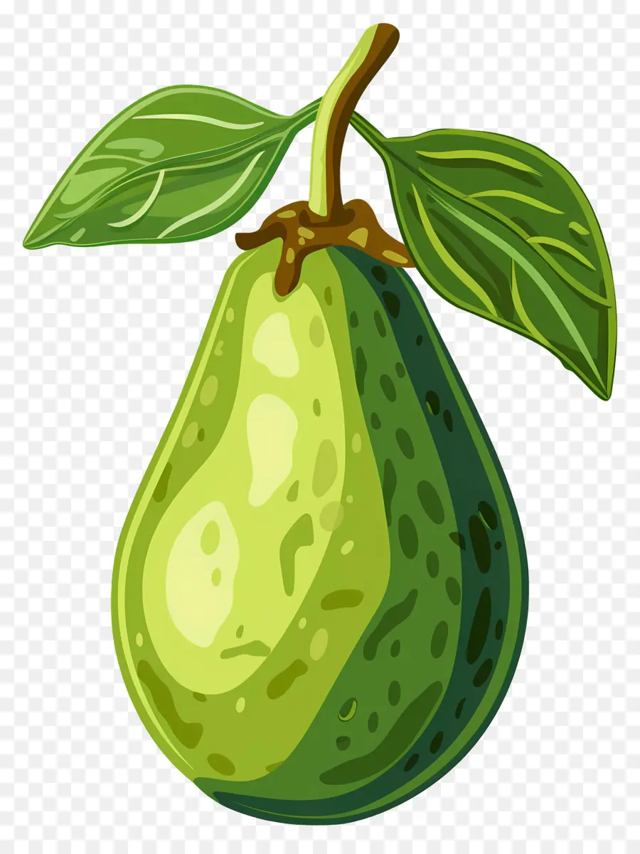 Avocat，Poire Verte PNG