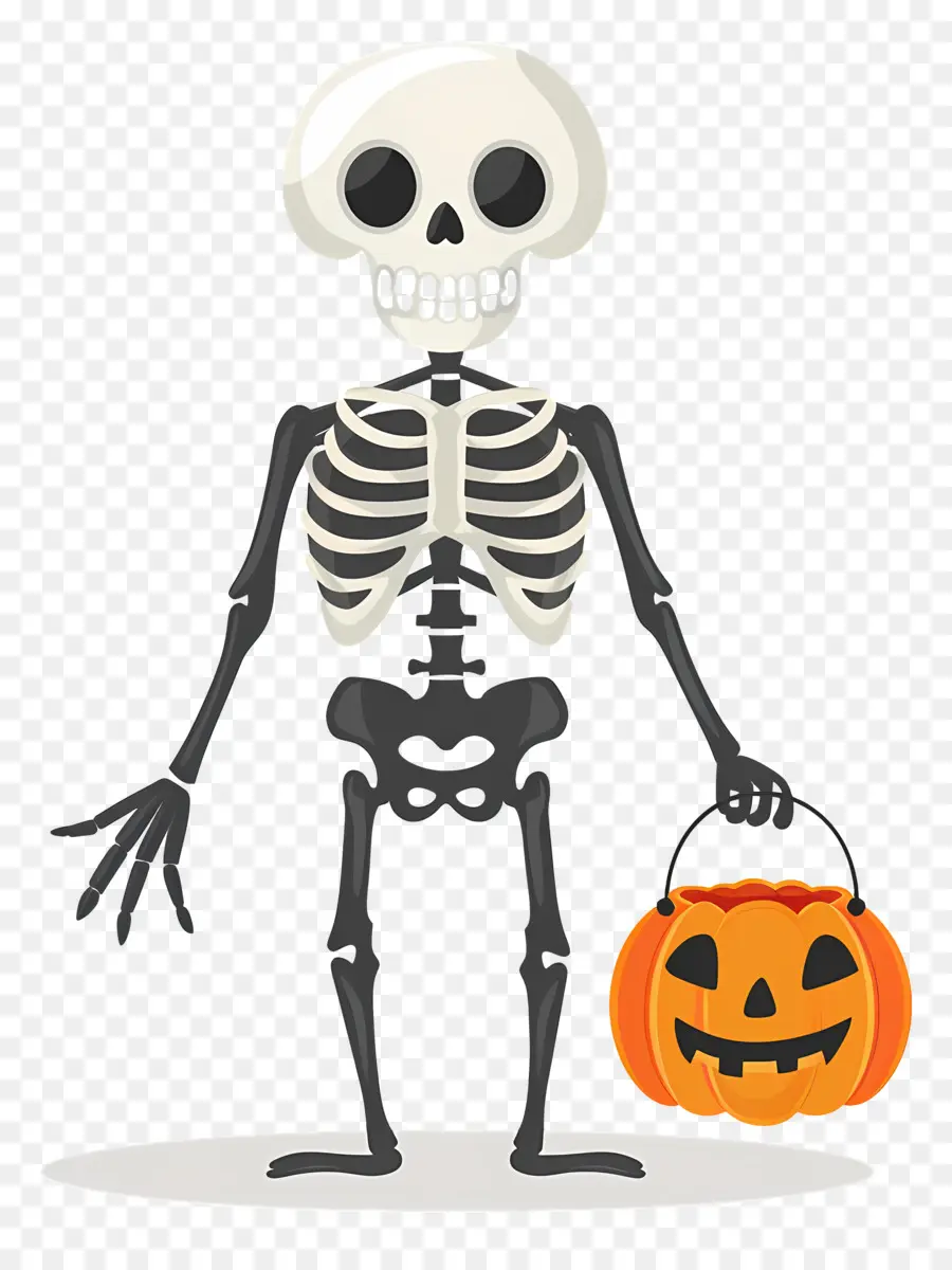 Squelette D'halloween，Squelette PNG