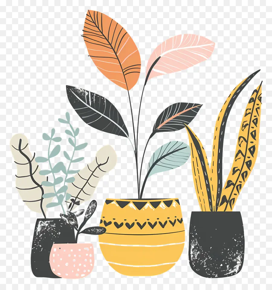 Plantes，Plantes En Pot PNG