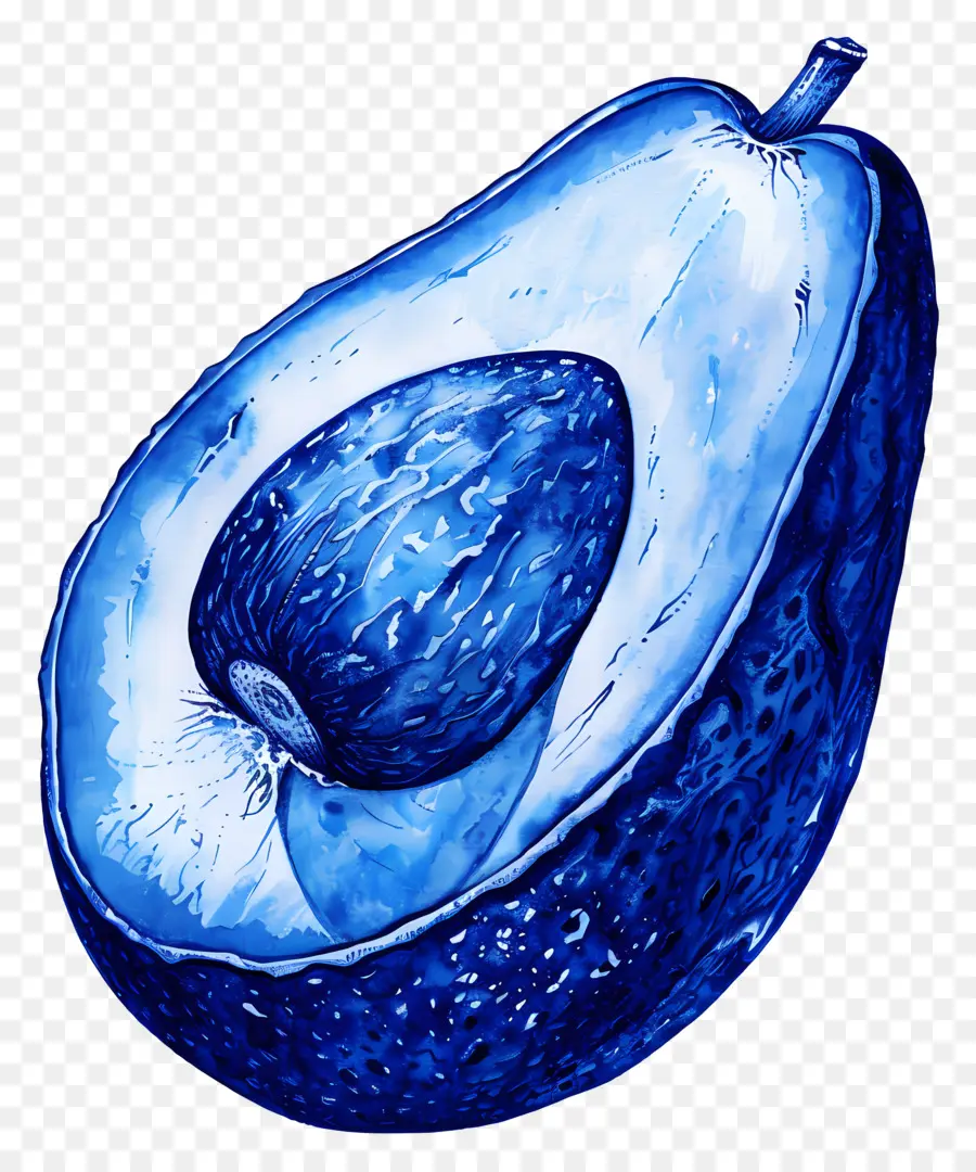 Avocat，Avocat Bleu PNG