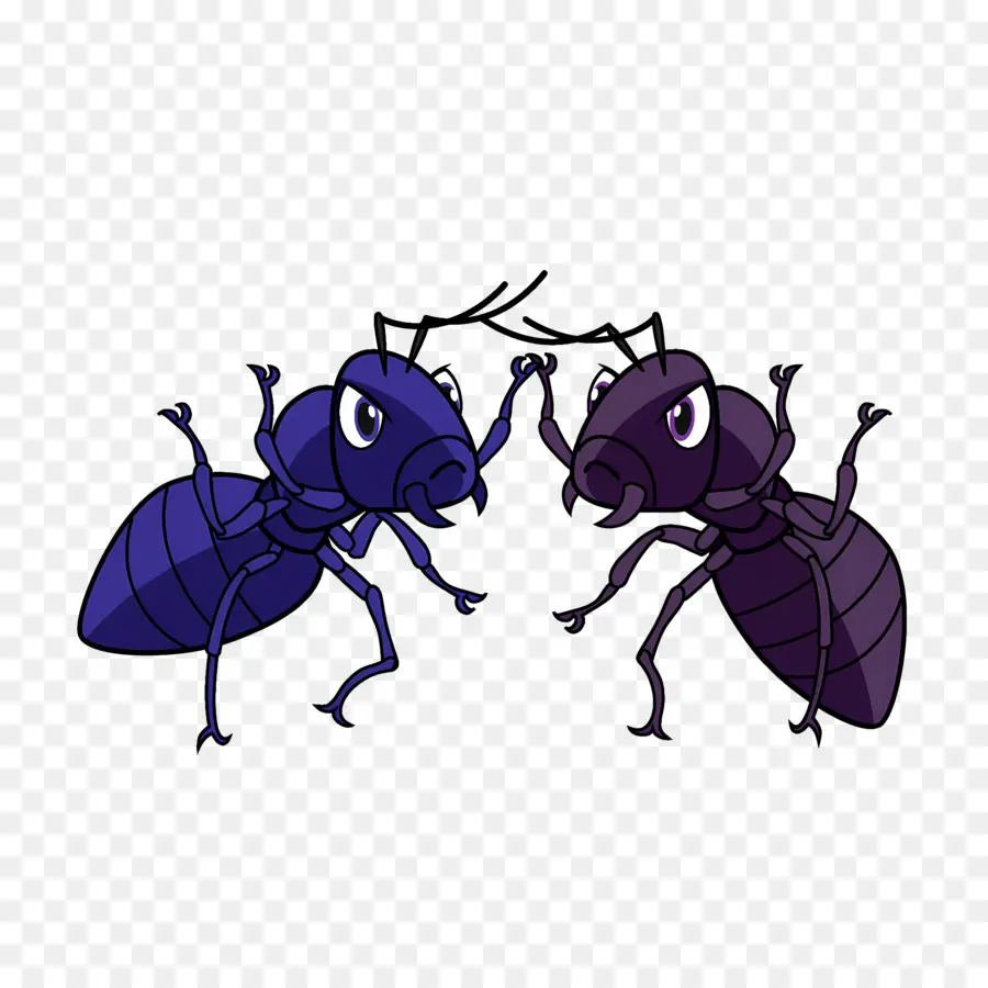 Fourmi，Fourmis PNG