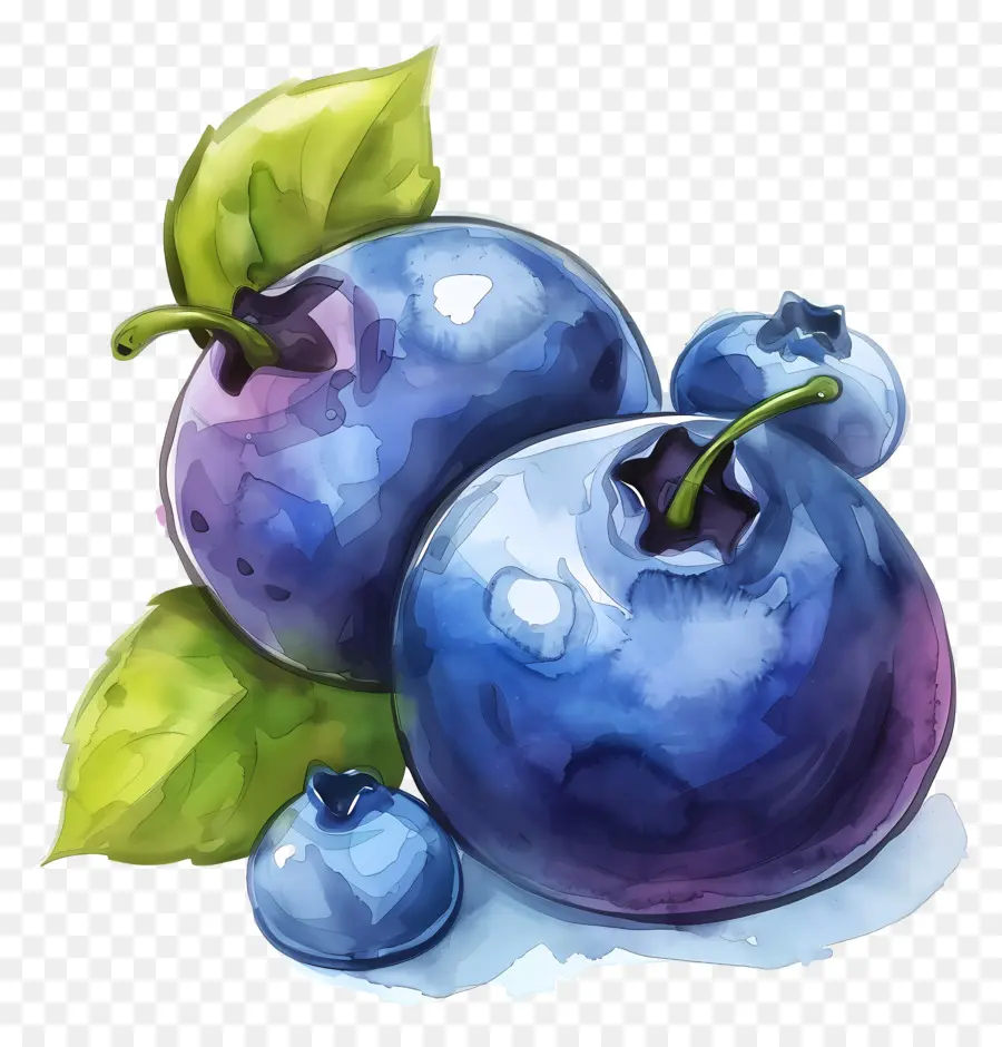 Myrtille，Bleuets PNG