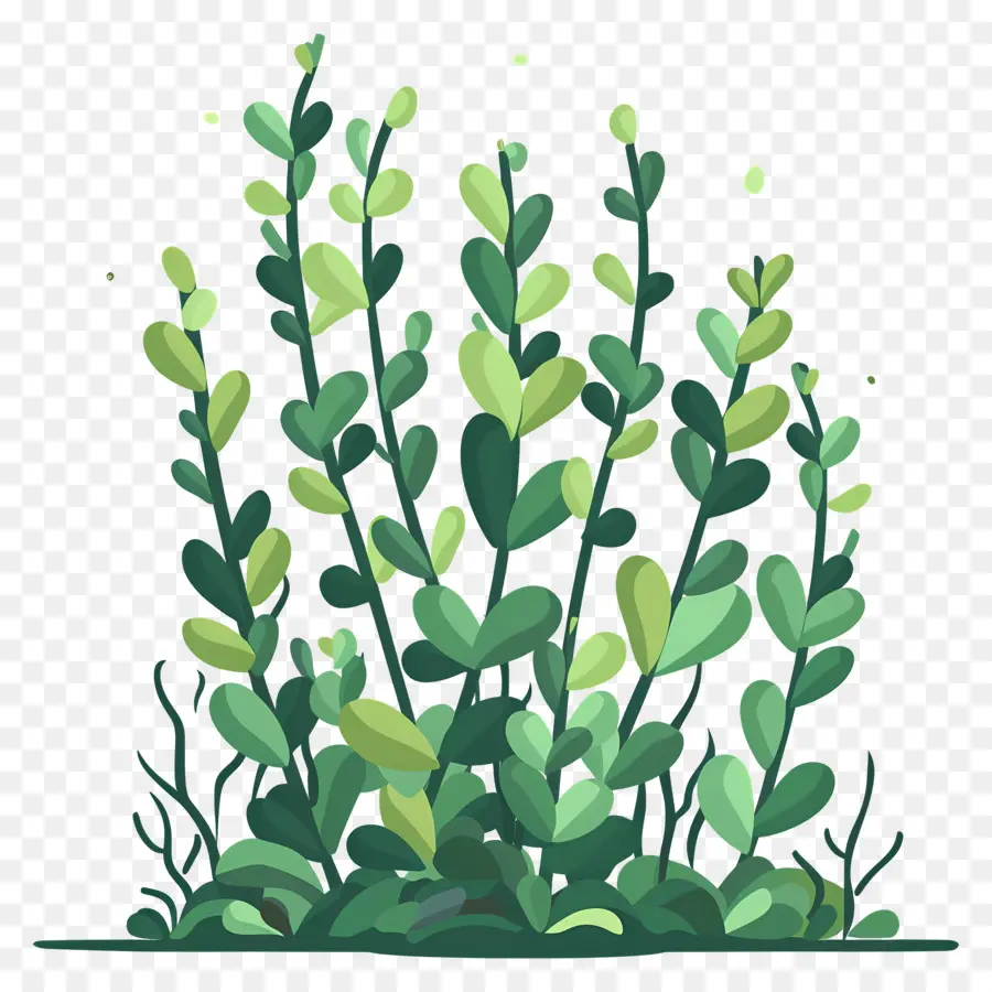 Buisson Vert，Plantes PNG