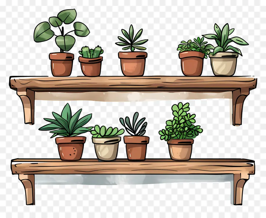 Plantes En Pot，Étagères PNG