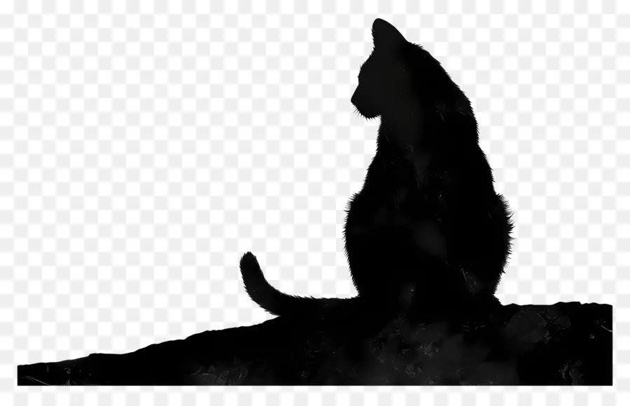 Silhouette De Chat，Chat Noir PNG