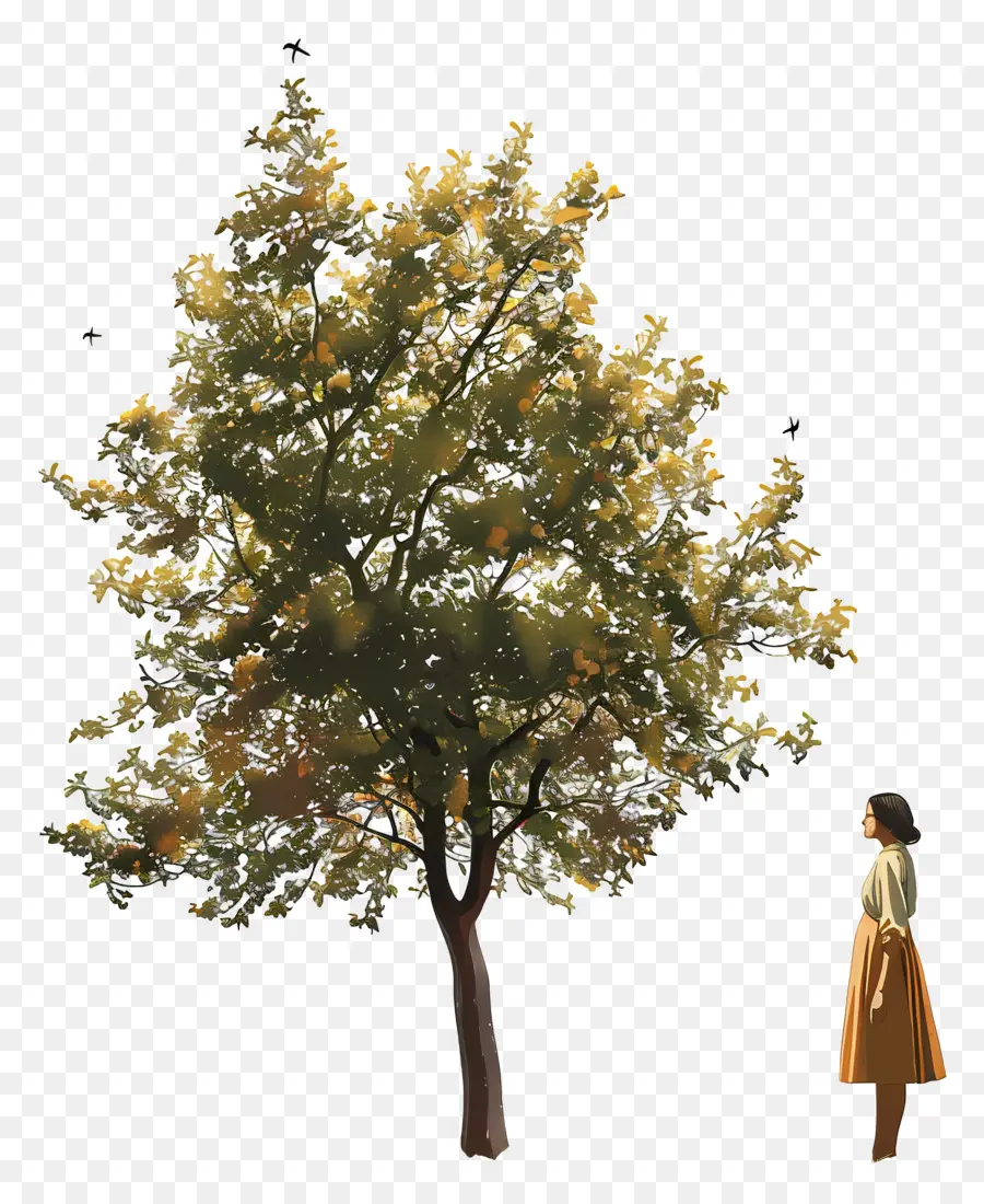 Femme Au Printemps，Arbre PNG