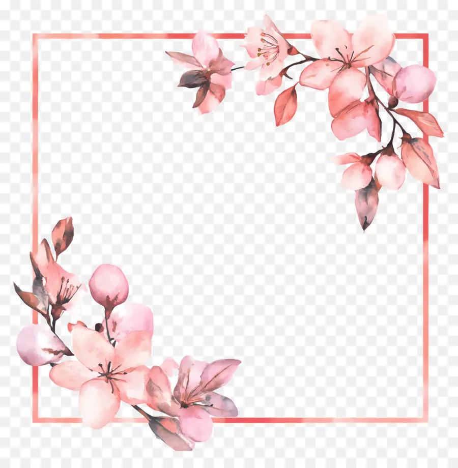 Cadre Simple Rose，Fleurs De Cerisier PNG