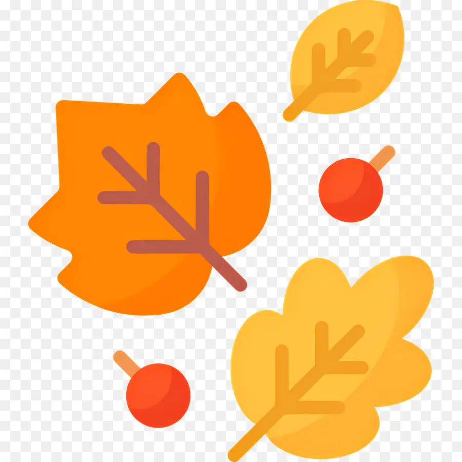 Feuilles D'automne，Feuilles PNG