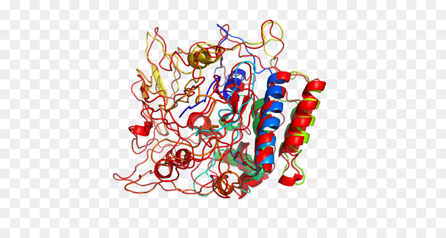 Структура белка，Молекула PNG