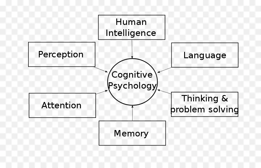 Когнитивная психология，интеллект PNG