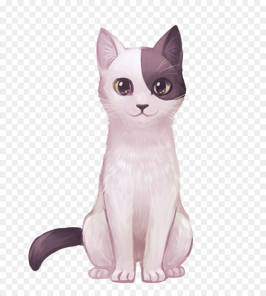 Белый кот，Кот PNG