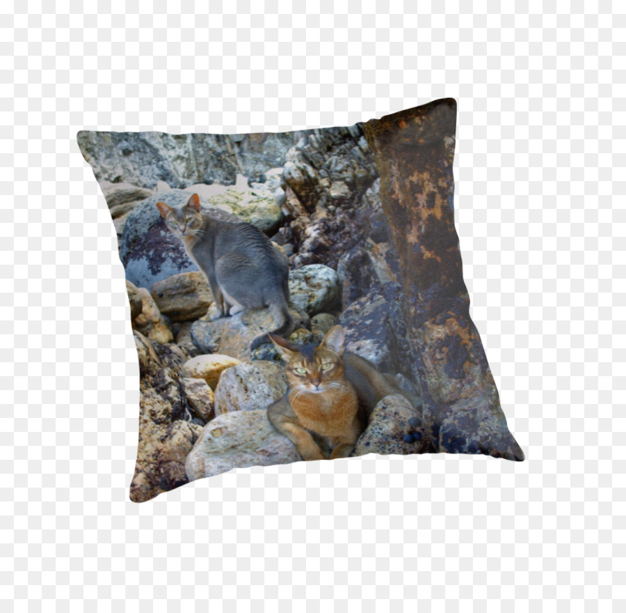 Cushion，Подушки PNG