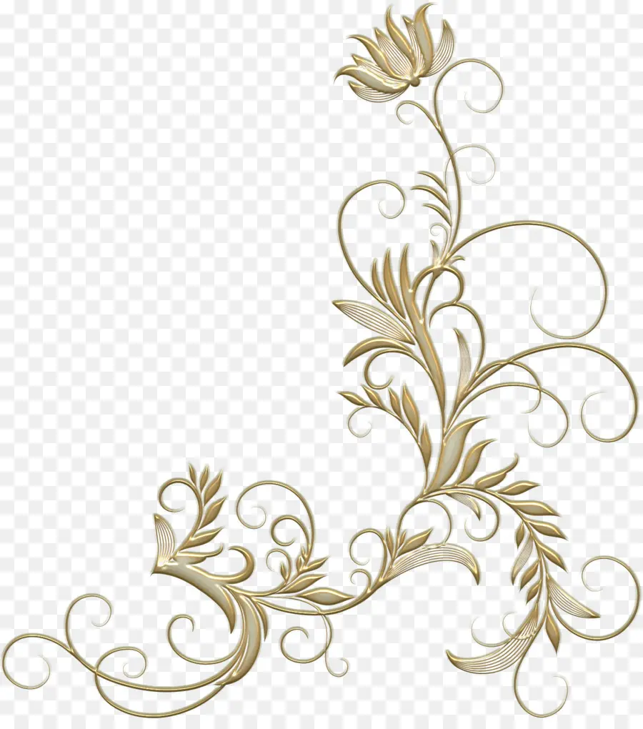 Patrón Floral，Decoración PNG