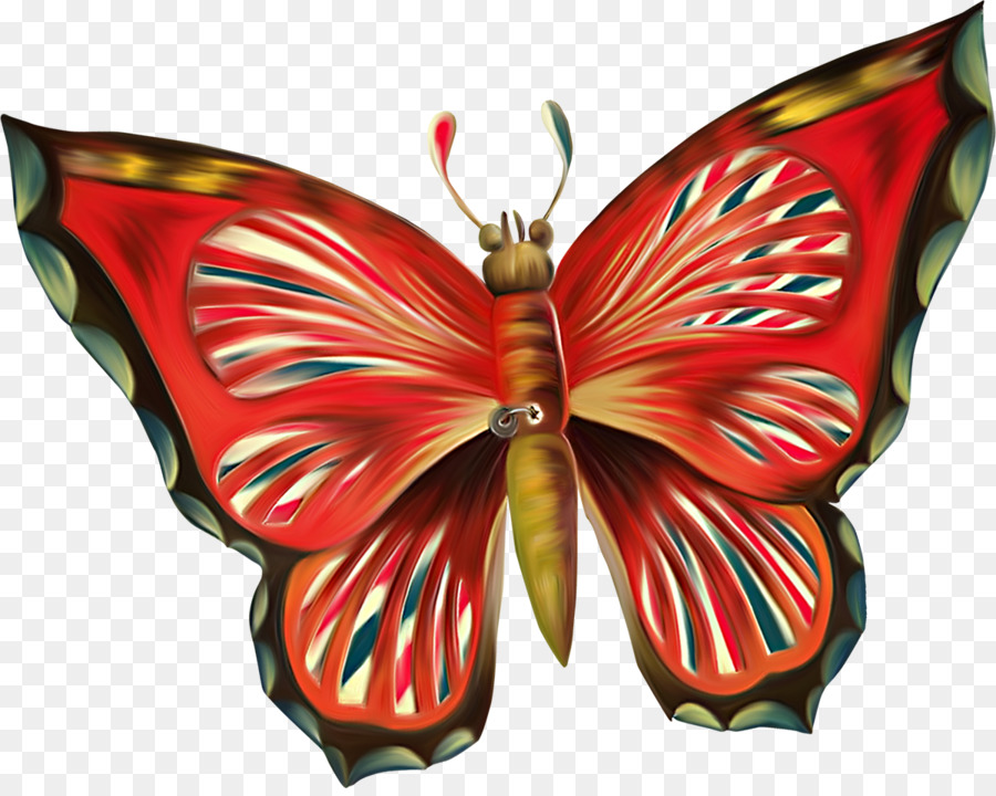 Mariposa，Rojo PNG