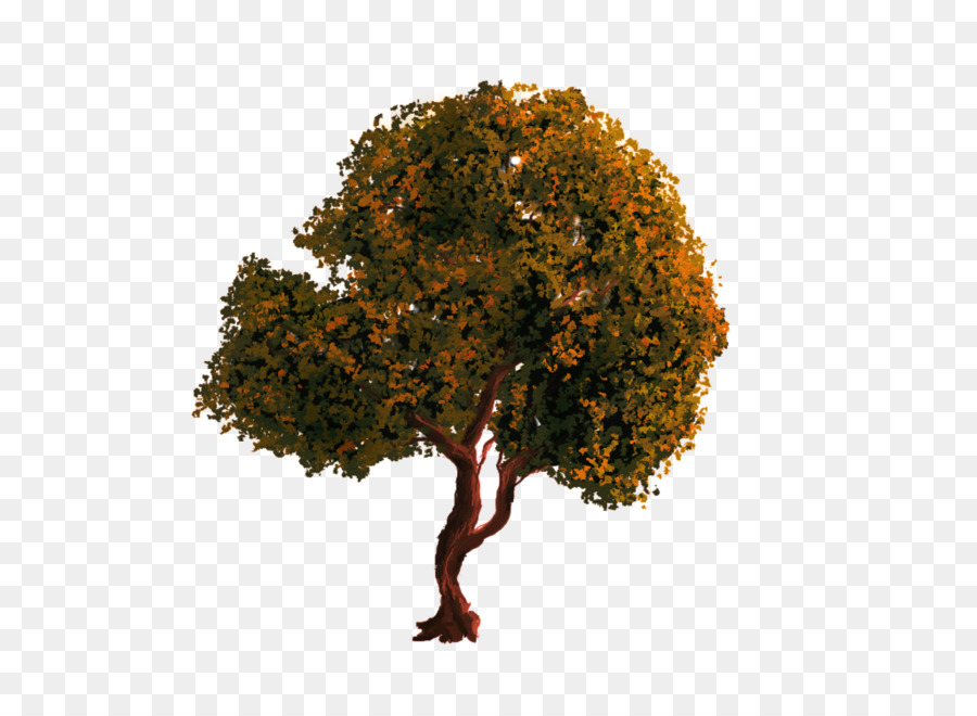 árbol Verde，Naturaleza PNG