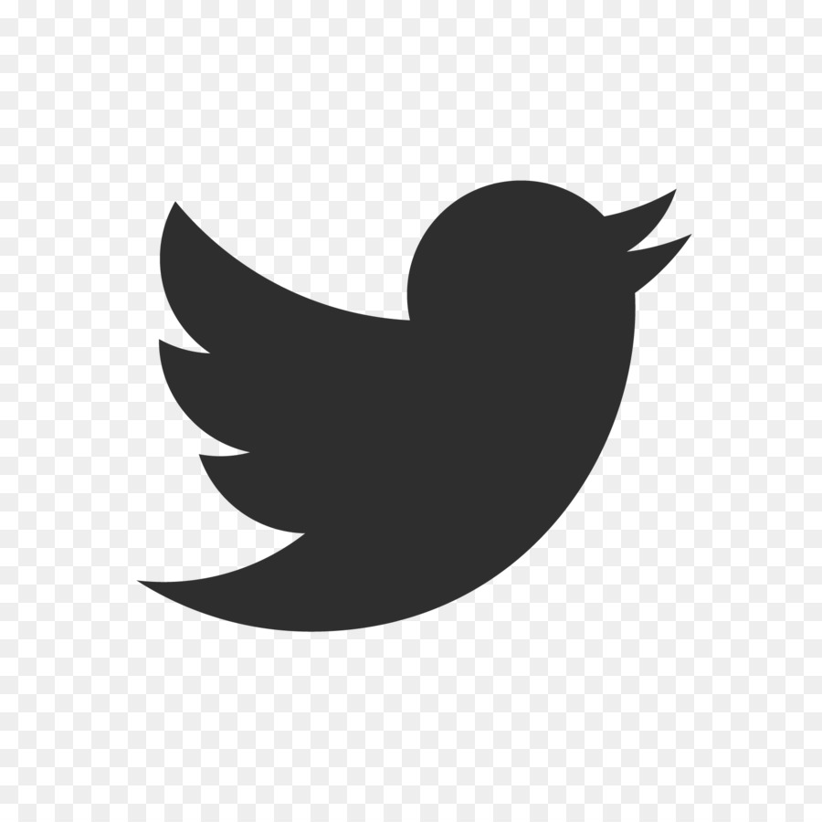 Logotipo De Twitter，Pájaro PNG