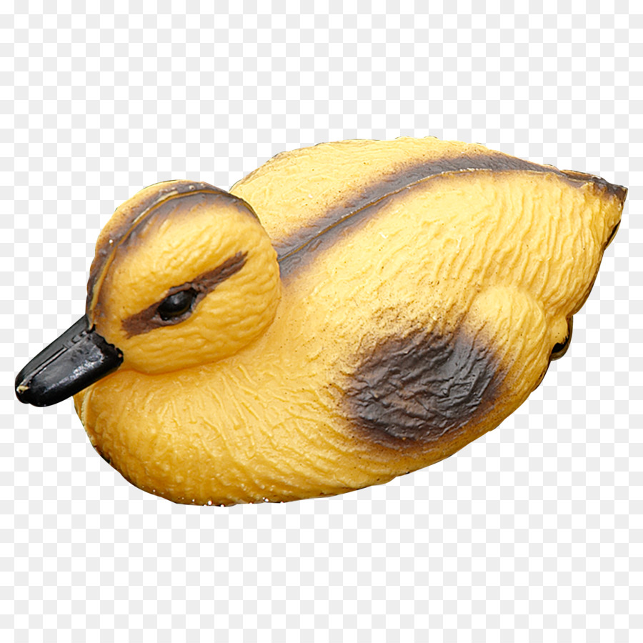 Pato，Pico PNG