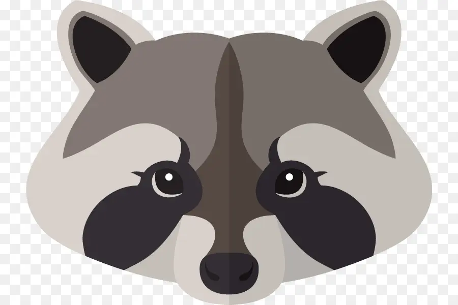 Mapache，Animal PNG