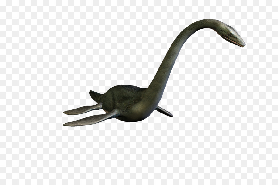 Plesiosauro，Dinosaurio PNG