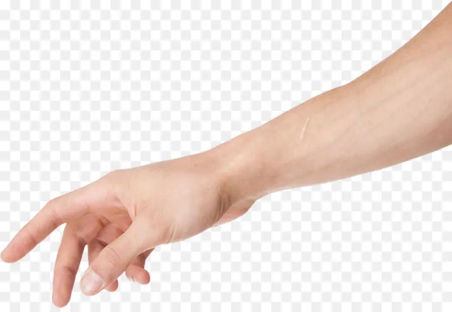 Gesto De La Mano，Dedos PNG