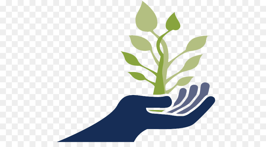 Planta De Mano，Crecimiento PNG