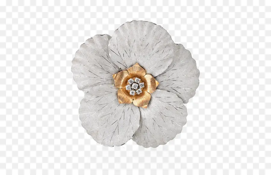 Flor De Plata，Pétalos PNG