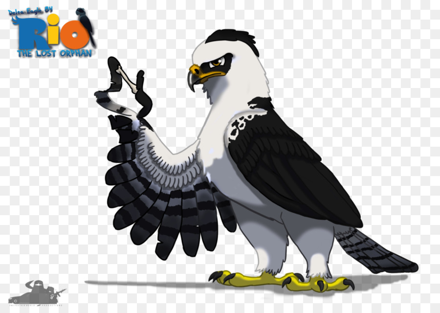 águila，Buitre PNG