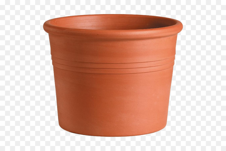 Olla De Terracota，Planta PNG