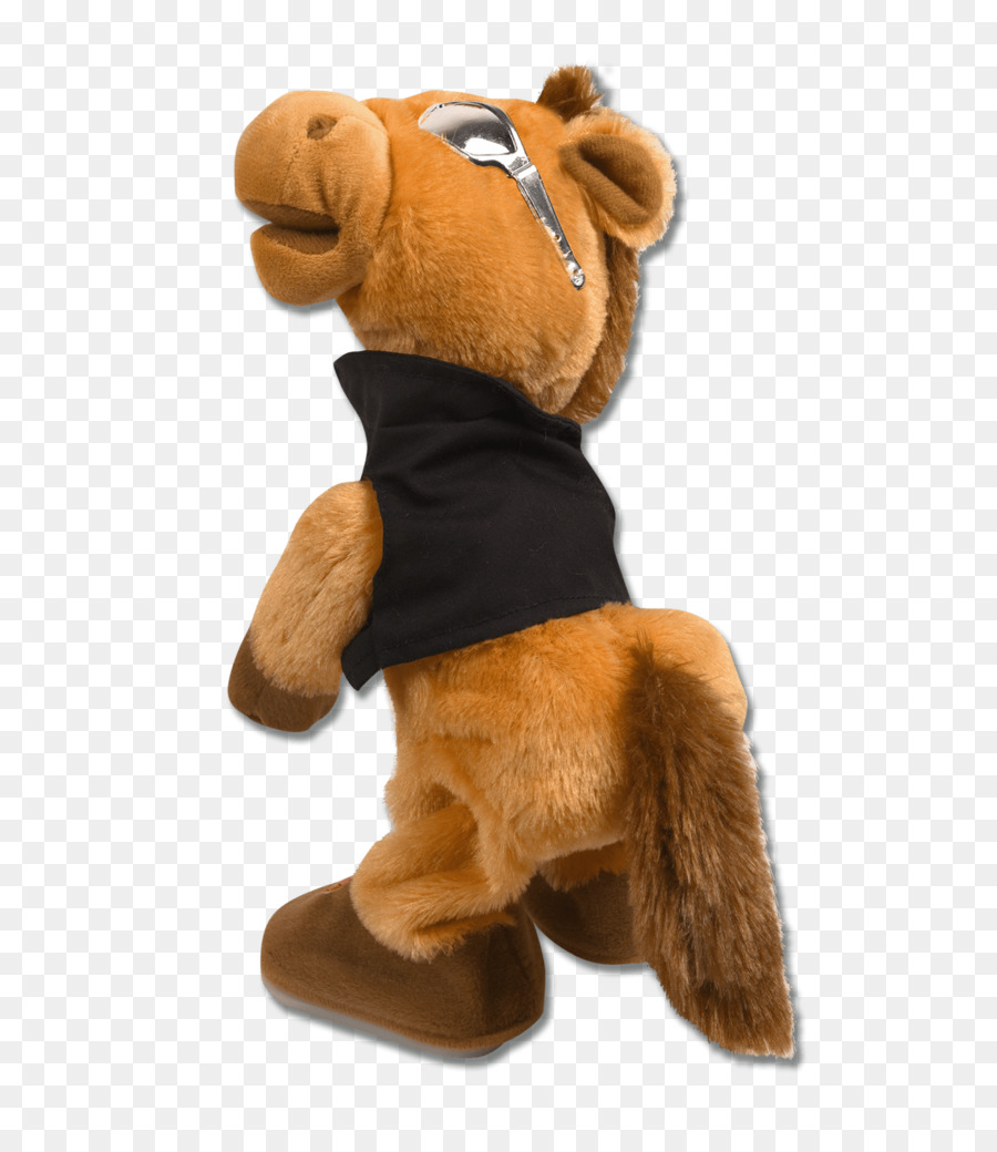 Konik，Pony PNG