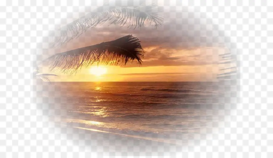 Atardecer，Sol PNG