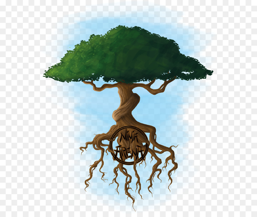 árbol Flotante，Raíces PNG