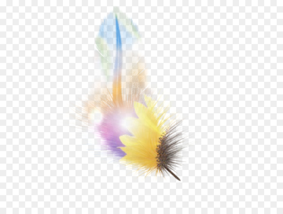 Pluma，Computadora PNG