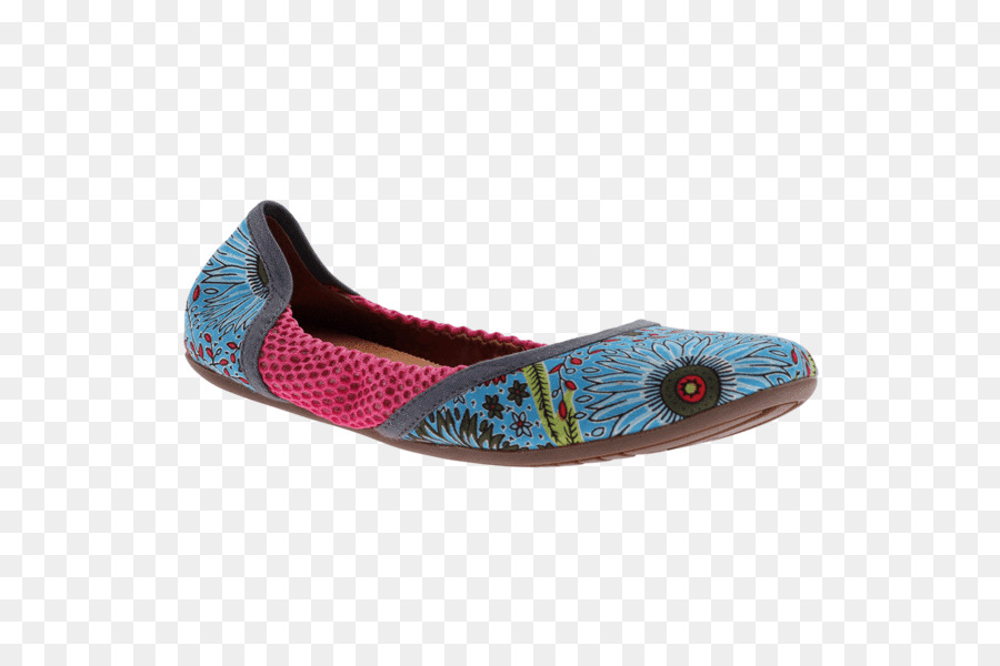 Zapato Plano，Zapato PNG