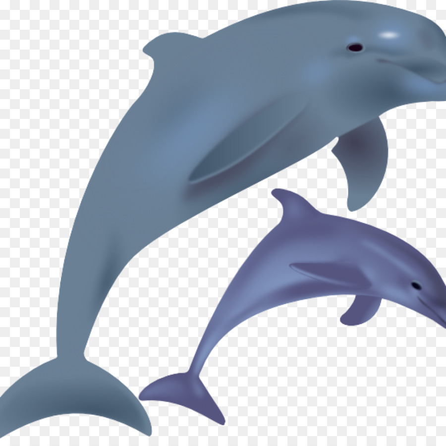 Delfines De Dibujos Animados，Marina PNG