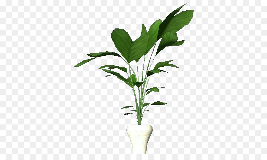 Plantas，Hoja PNG