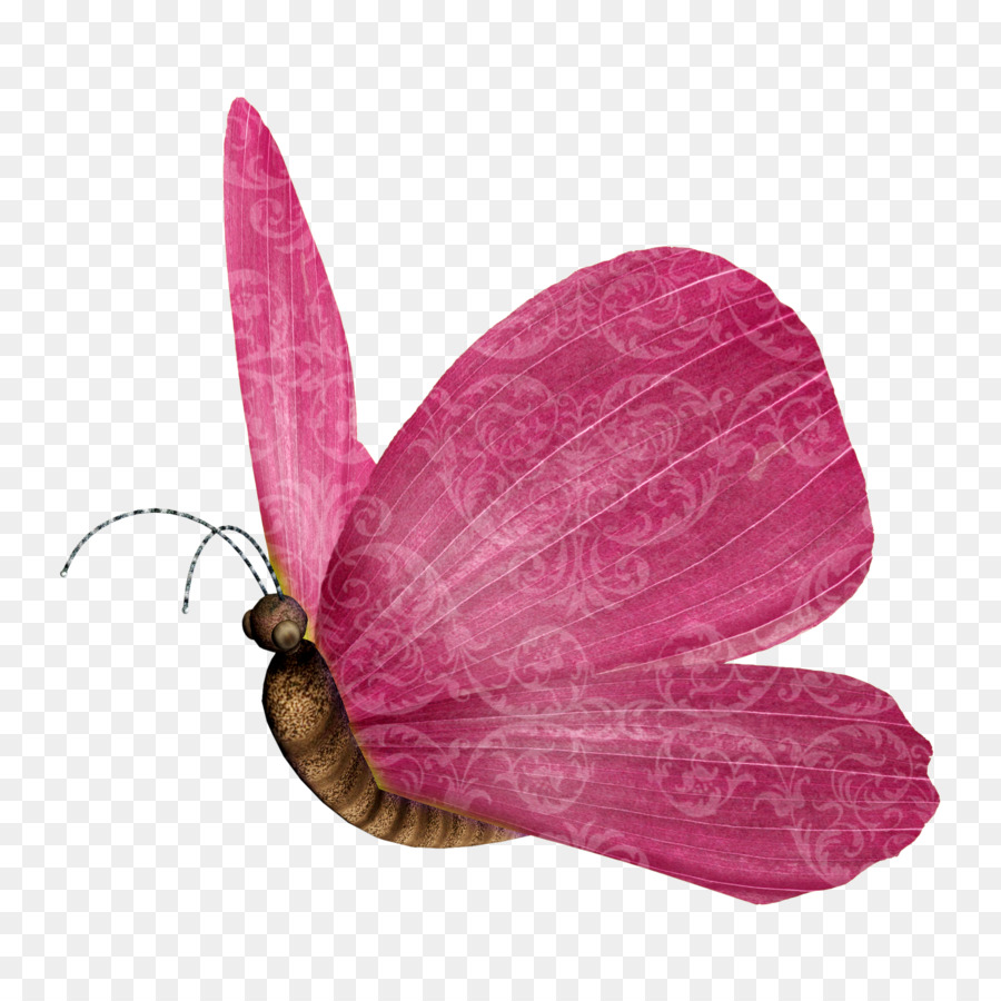 Mariposa Rosa，Insecto PNG