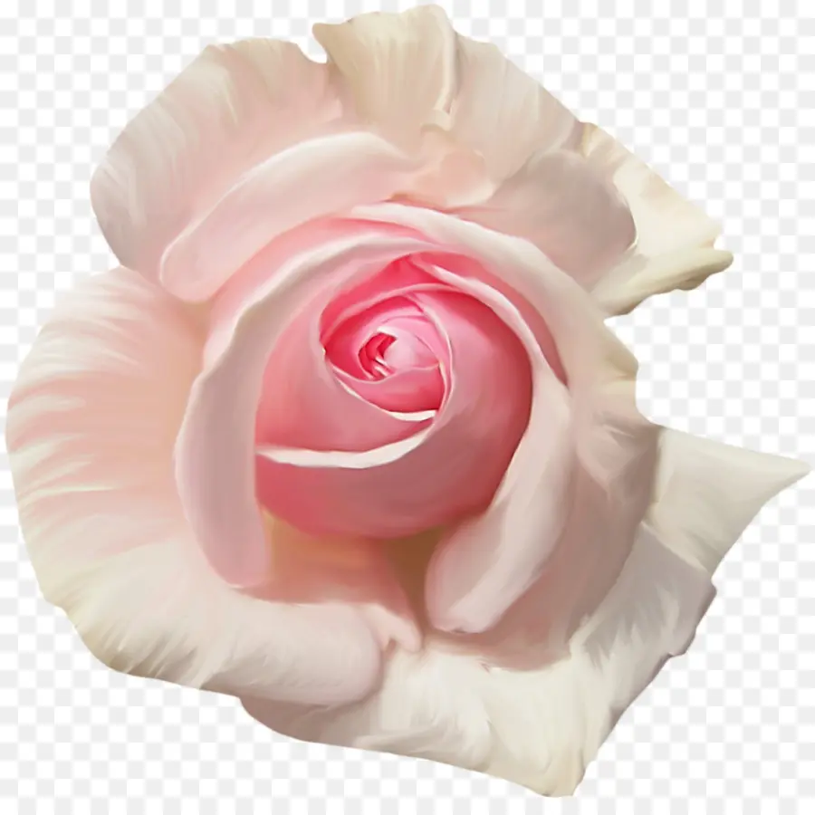 Corazón Rosa，Amar PNG