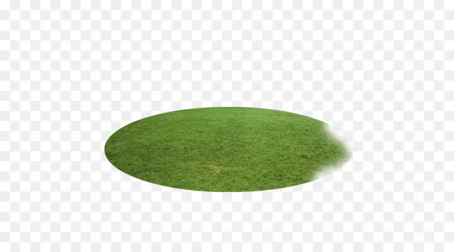 Parche De Hierba Verde，Oval PNG