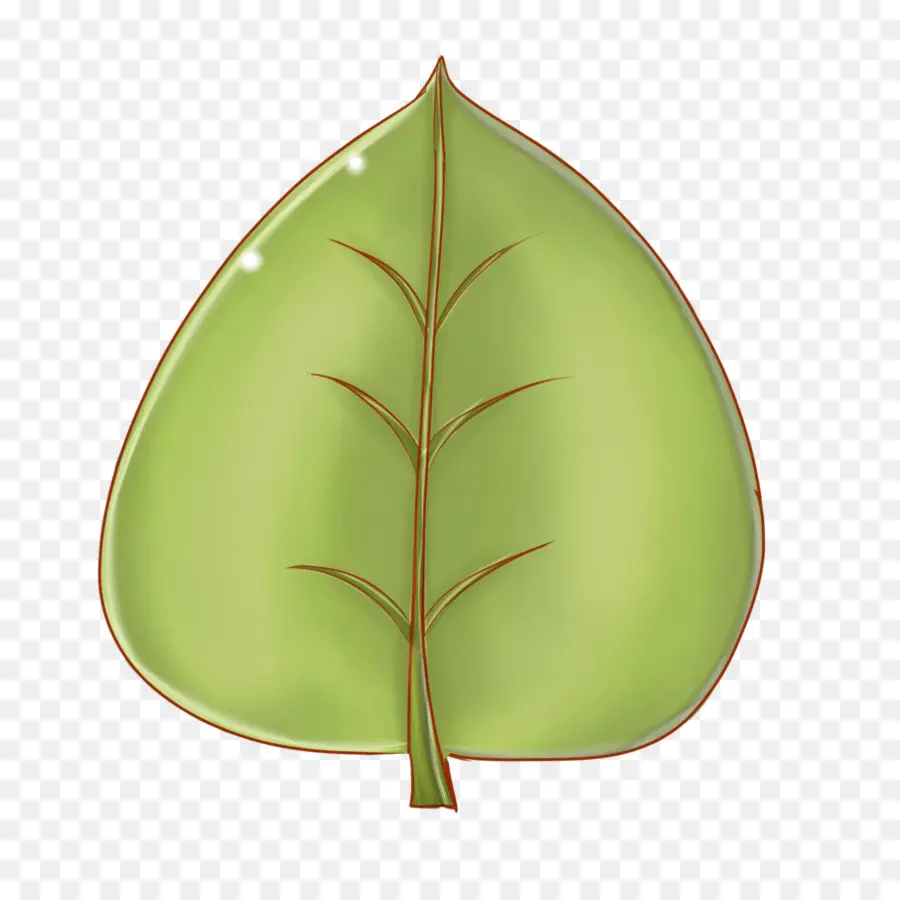 Hoja，Verde PNG