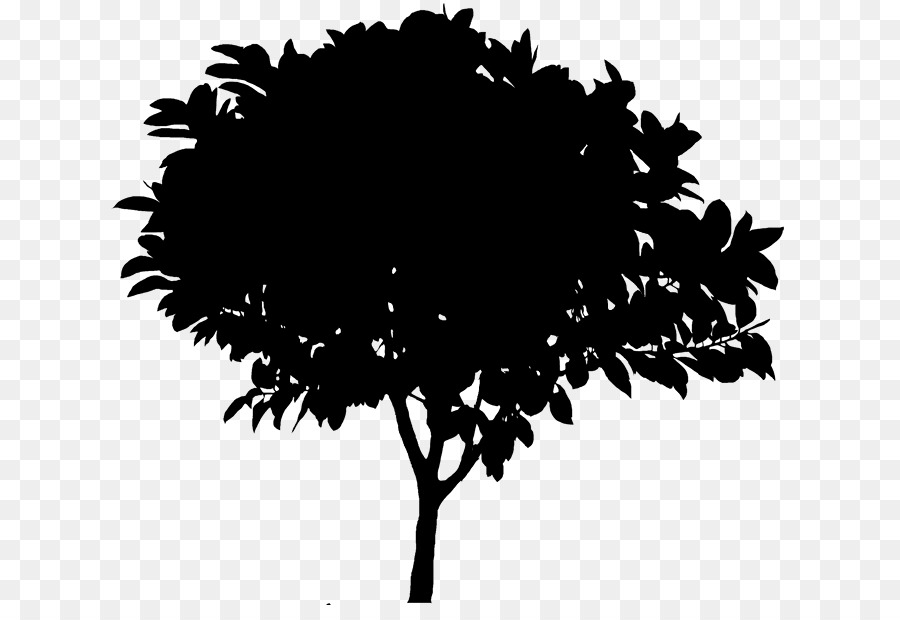 Silueta De Arbol，Planta PNG